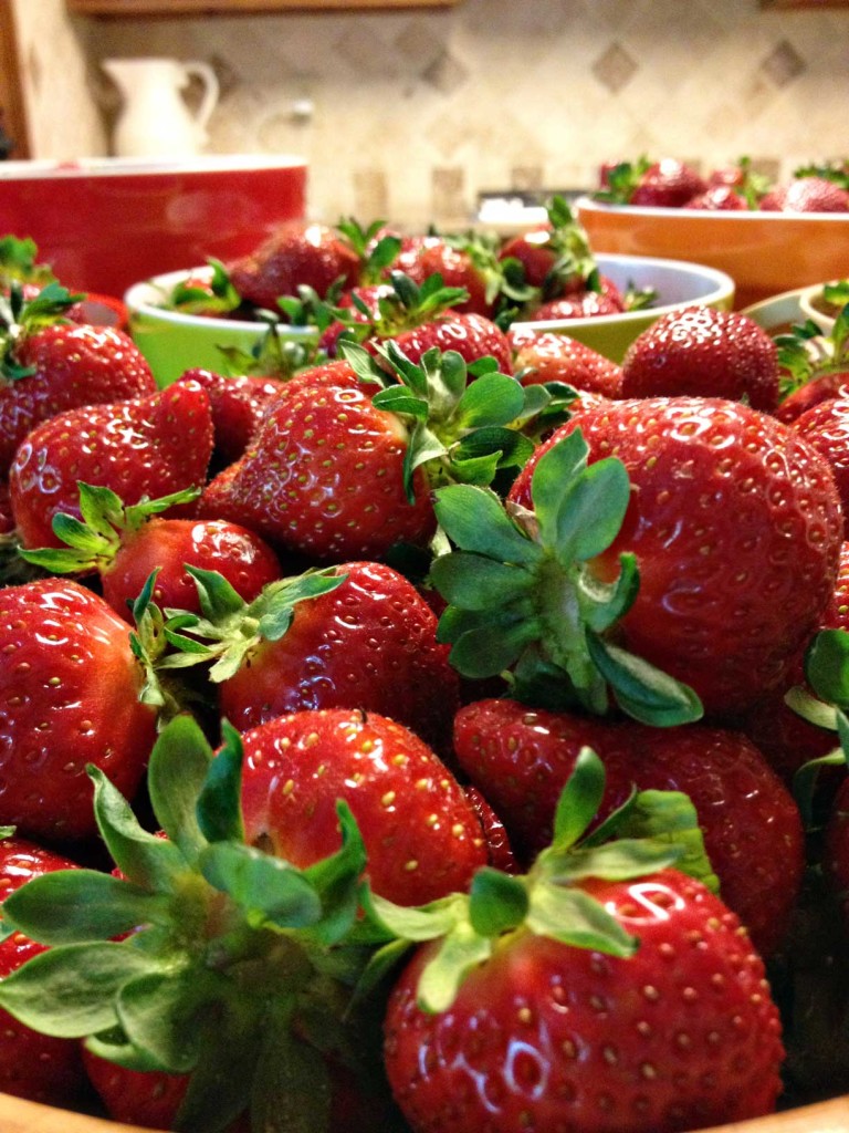 Georgia strawberries