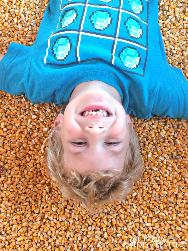 kid in pit of corn