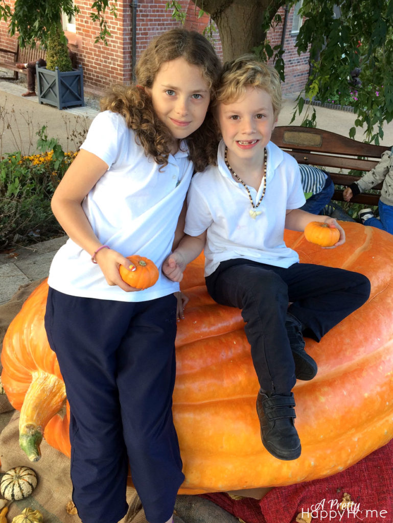 annisa A Pretty Happy Home