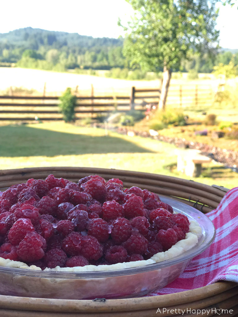 festive 4th of July ideas fresh raspberry pie