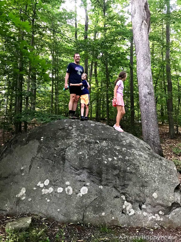 tourne park hike new jersey on the happy list