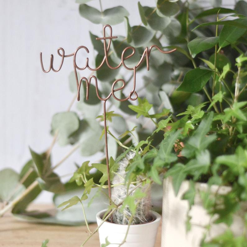 water me plant marker by The Letter Loft UK on Etsy