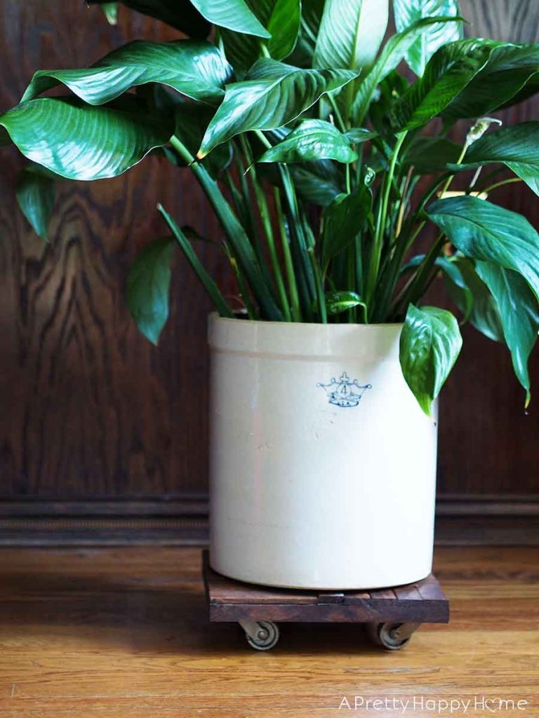 Herringbone Rolling Plant Caddy