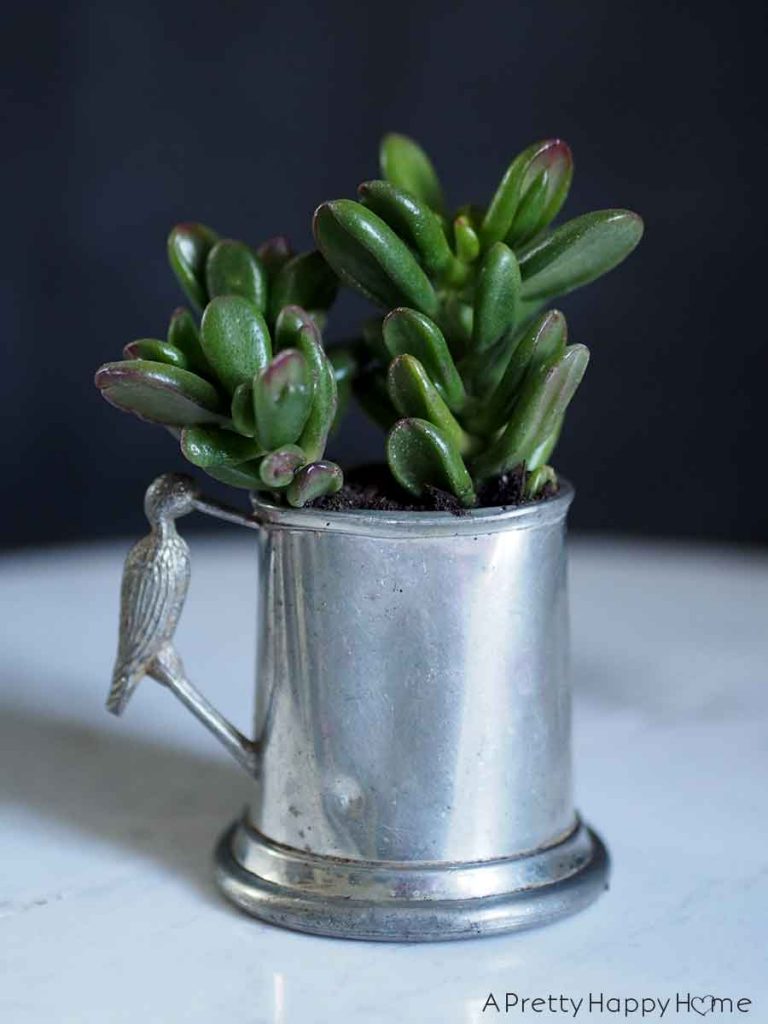pewter baby cup Unexpected Succulent Planters 