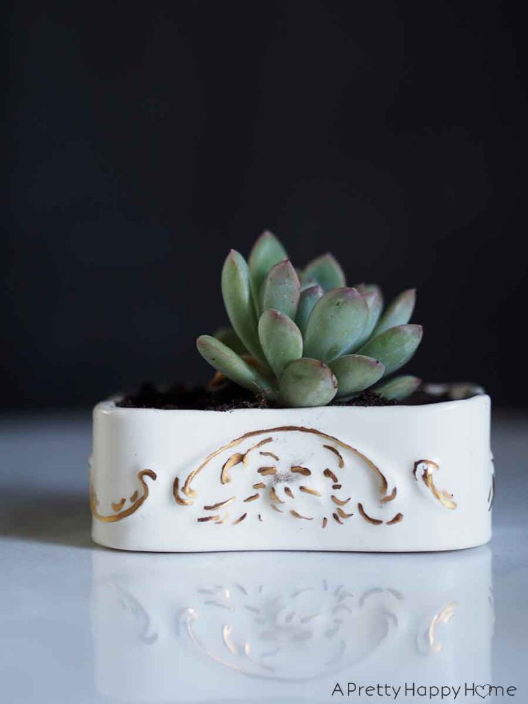 small dish Unexpected Succulent Planters 