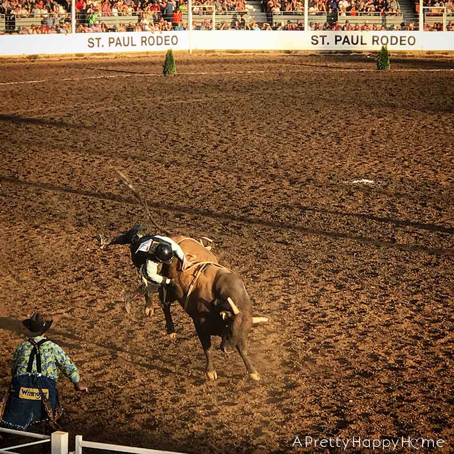 st paul rodeo