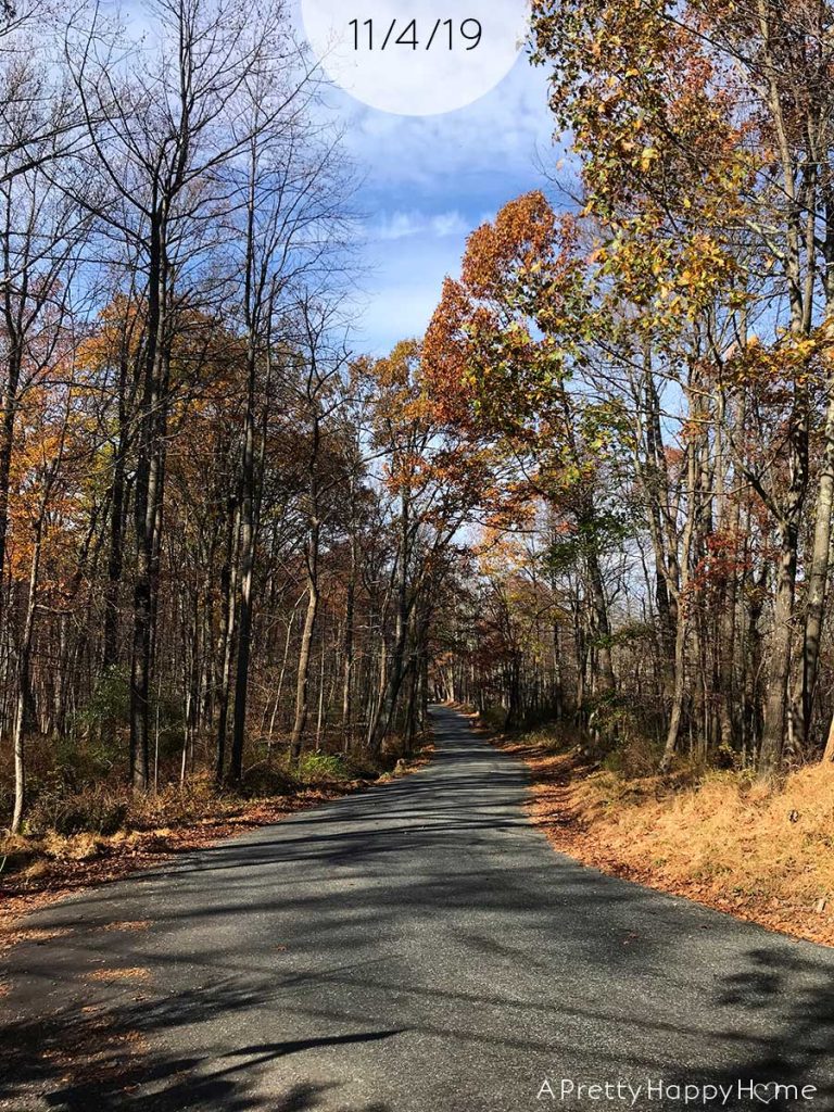 fall colors in new jersey november 4 2019