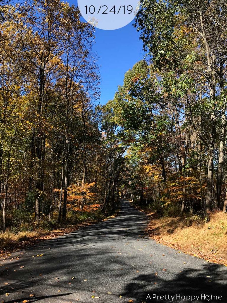 fall colors in new jersey october 24 2019