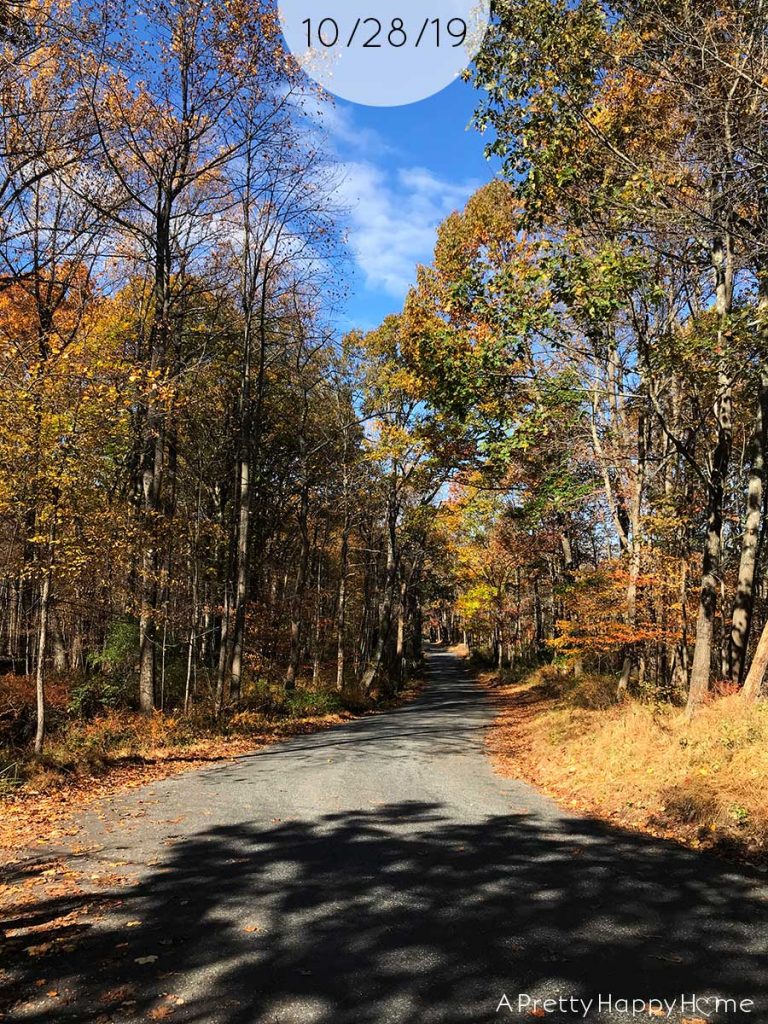fall colors in new jersey october 28 2019