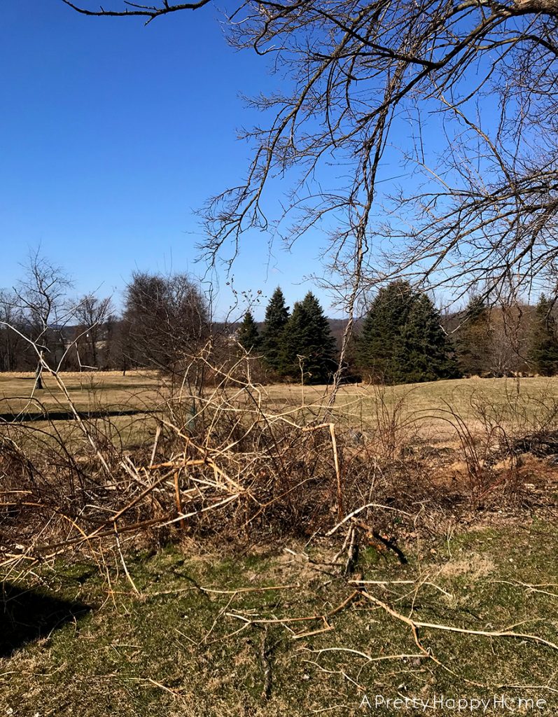 winter yard clean up with gorilla cart