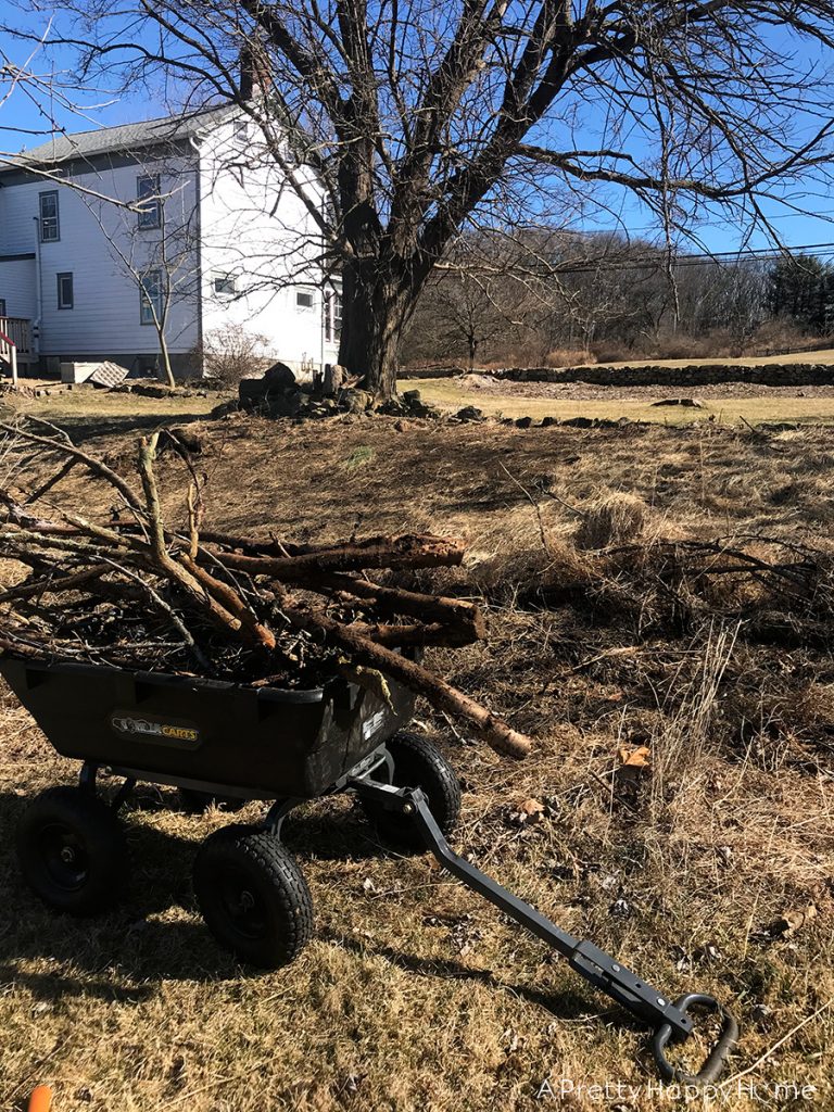 winter yard clean up with gorilla cart