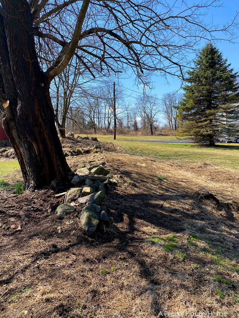 winter yard clean up with gorilla cart