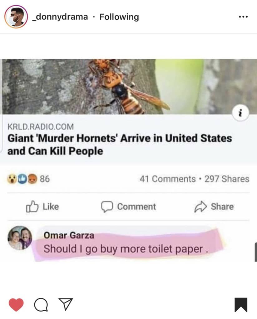 murder hornet meme via a bubbly life on the happy list