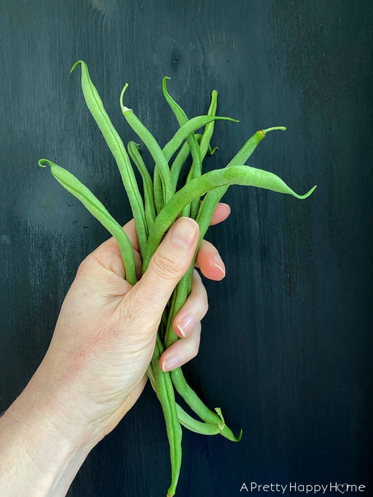 green beans from garden summer bucket list: covid-19 edition