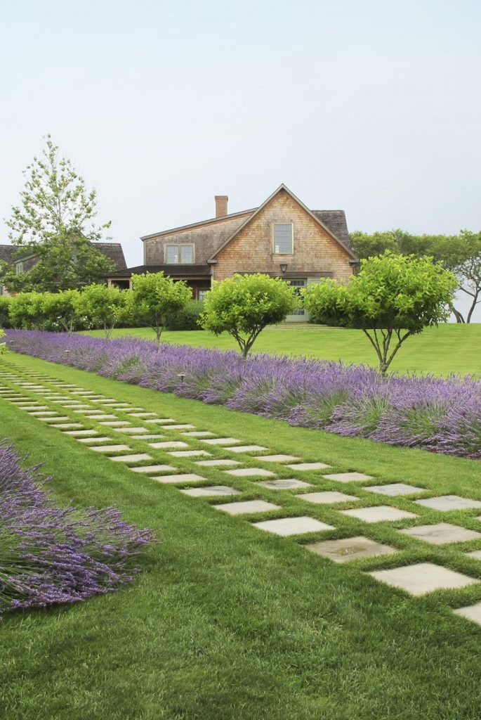 lavender path via house beautiful on the happy list