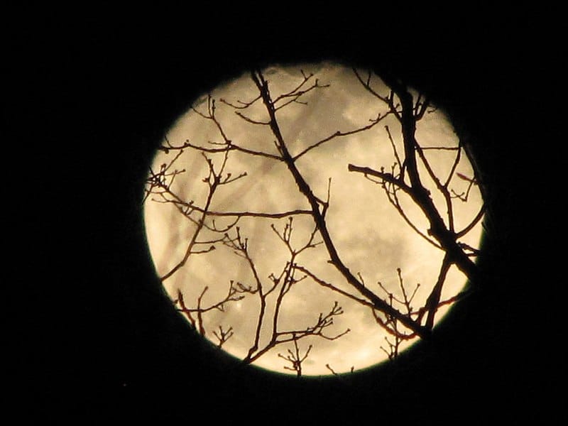 hallowed moon via wikimedia on the happy list