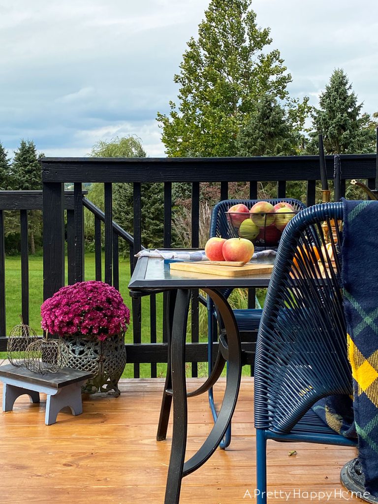 deck with black railing