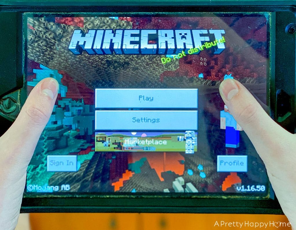 online game budget form for kids minecraft screen