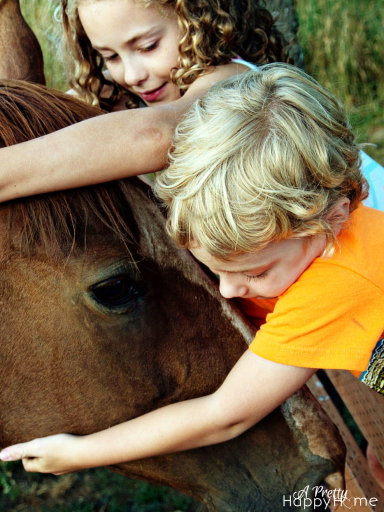 two kids hugging a horse copyright A Pretty Happy Home