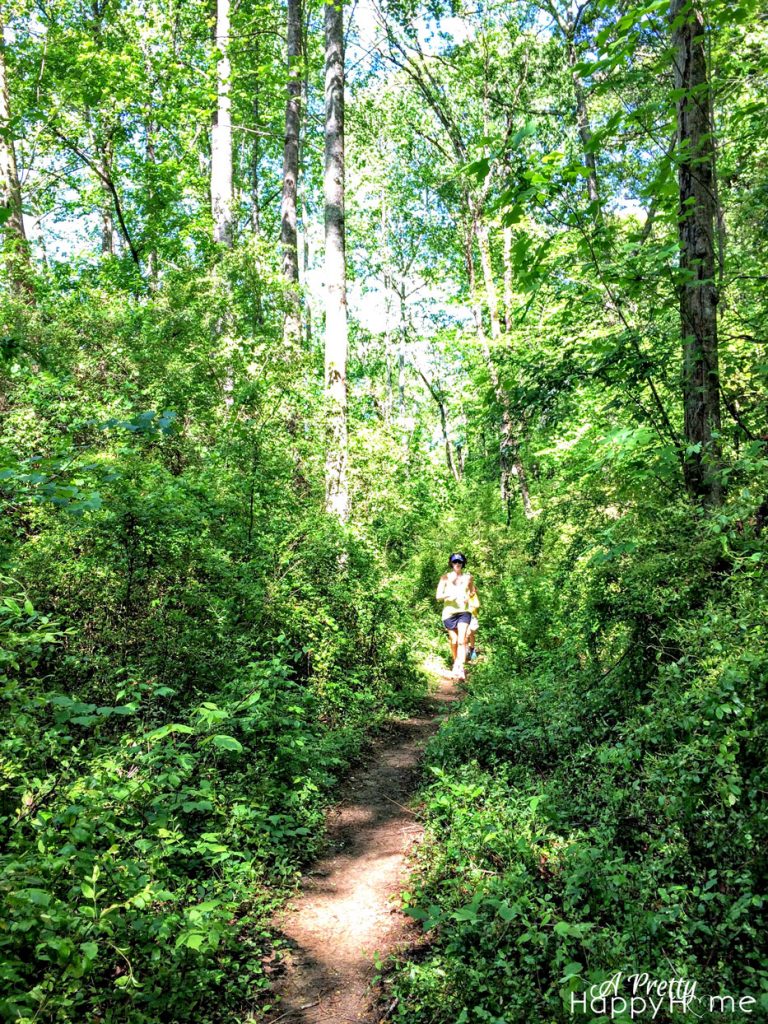 trail run with kids
