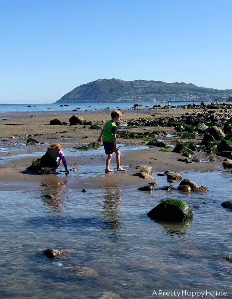 low tide irish sea on the happy list halcyon