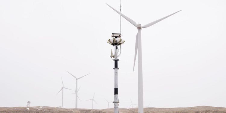 identiflight wind turbine cameras on the happy list