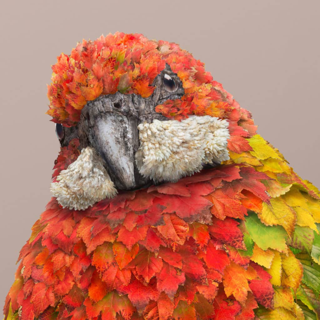 Detail of “Burooli” by Melbourne-based artist Josh Dykgraaf on the happy list