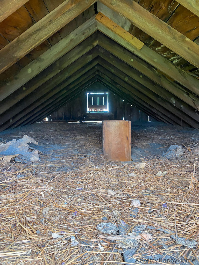 barn loft clean out in a hundreds year old barn in new jersey