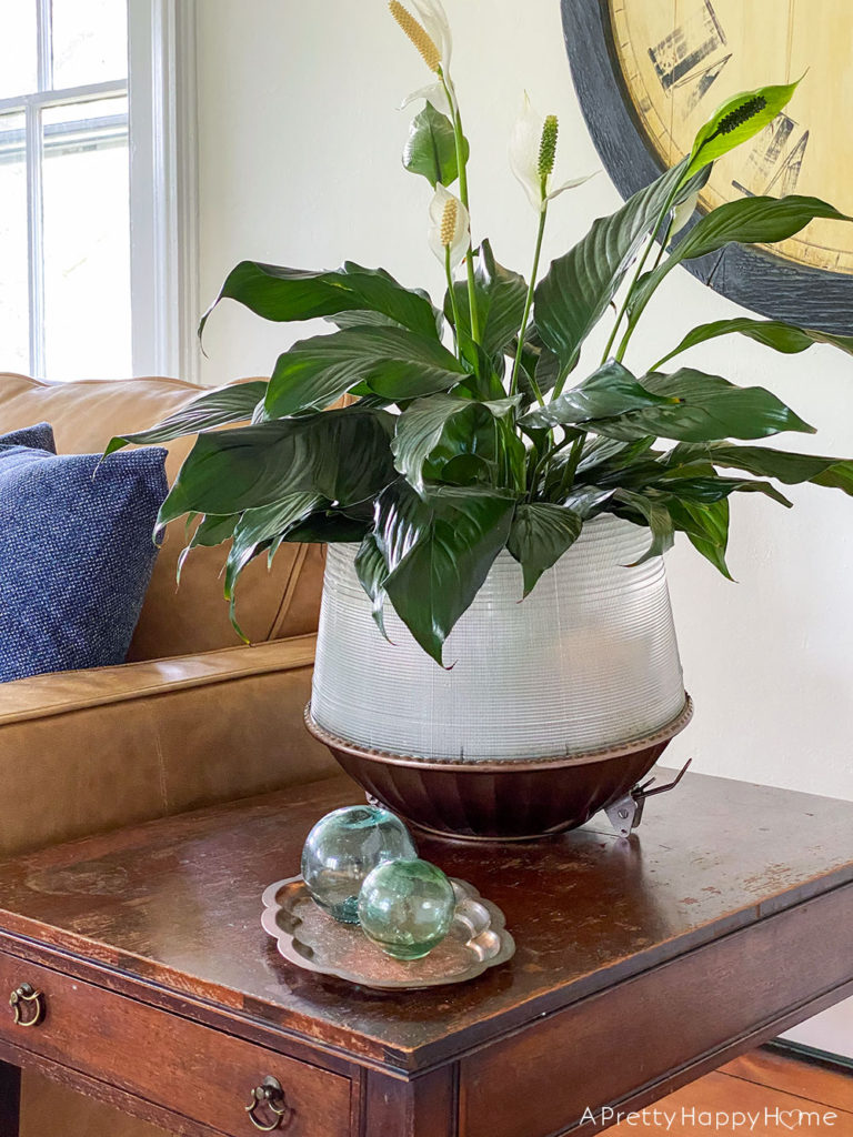 Repurposed Light Shade Planter