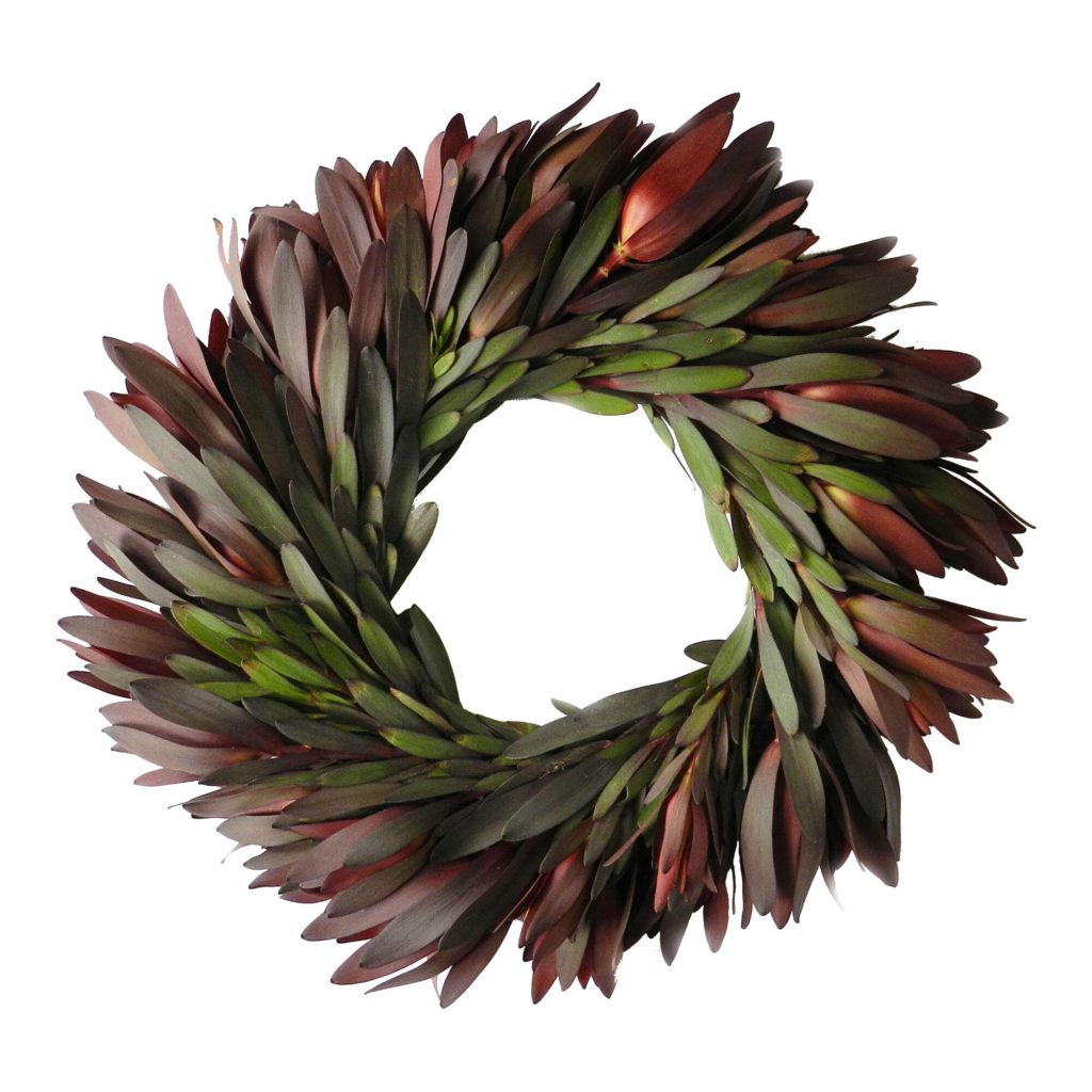 world market fresh safari sunset leucadendron wreath fall wreath 13 Fall Wreaths