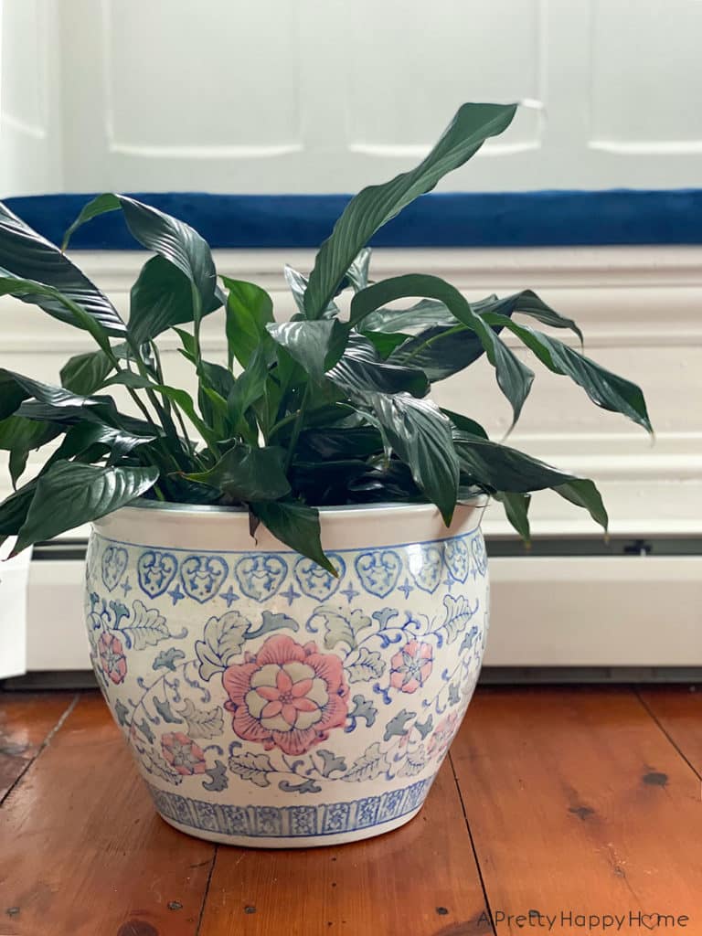 blue and pink ceramic planter thrift store finds