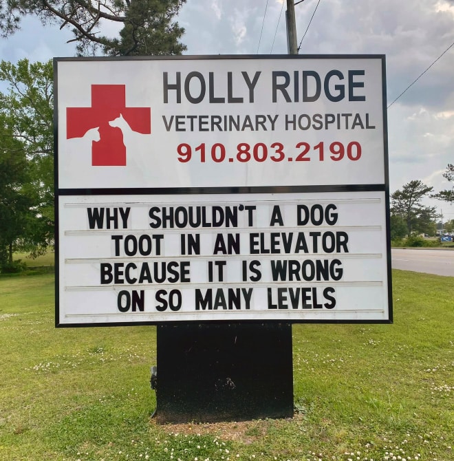 holly ridge veterinary hospital funny signs via sad and useless on the happy list