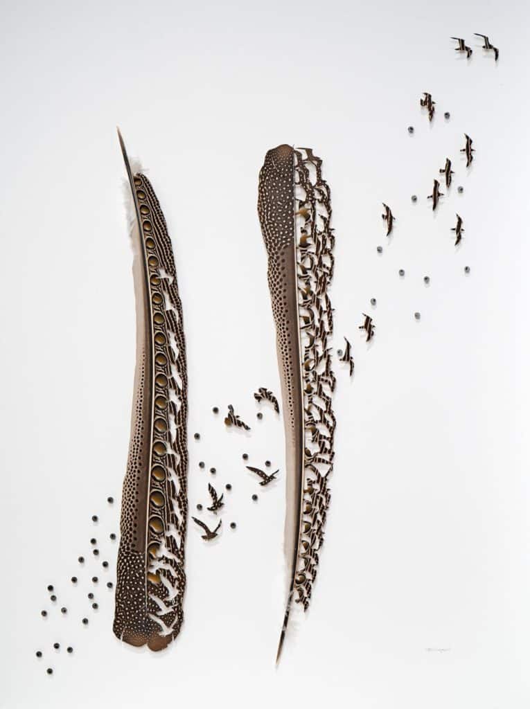 feather art journey by chris maynard via this is colossal on the happy list