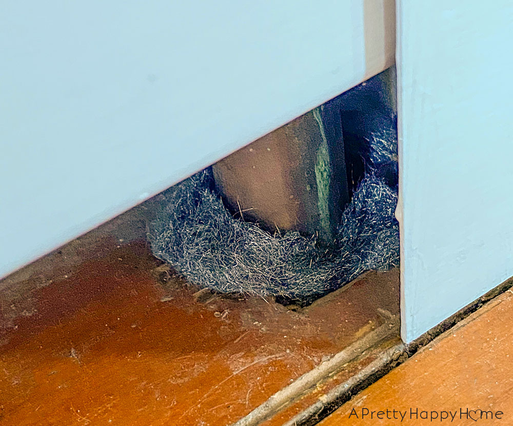 steel wool around pipes DIY pest control tips