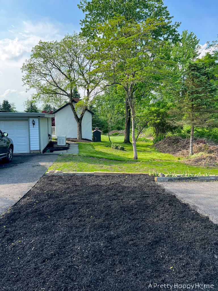 How Our NJ Landscaping Survived A Dry Summer without irrigation