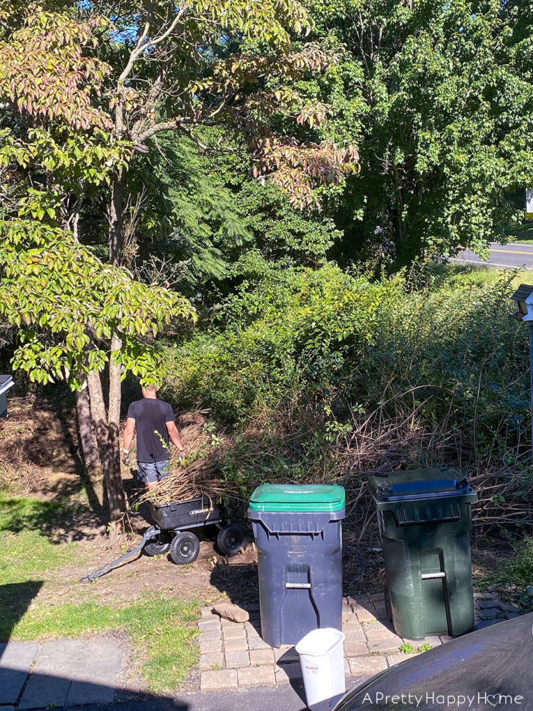 What's Going On With Our Driveways? driveway makeover