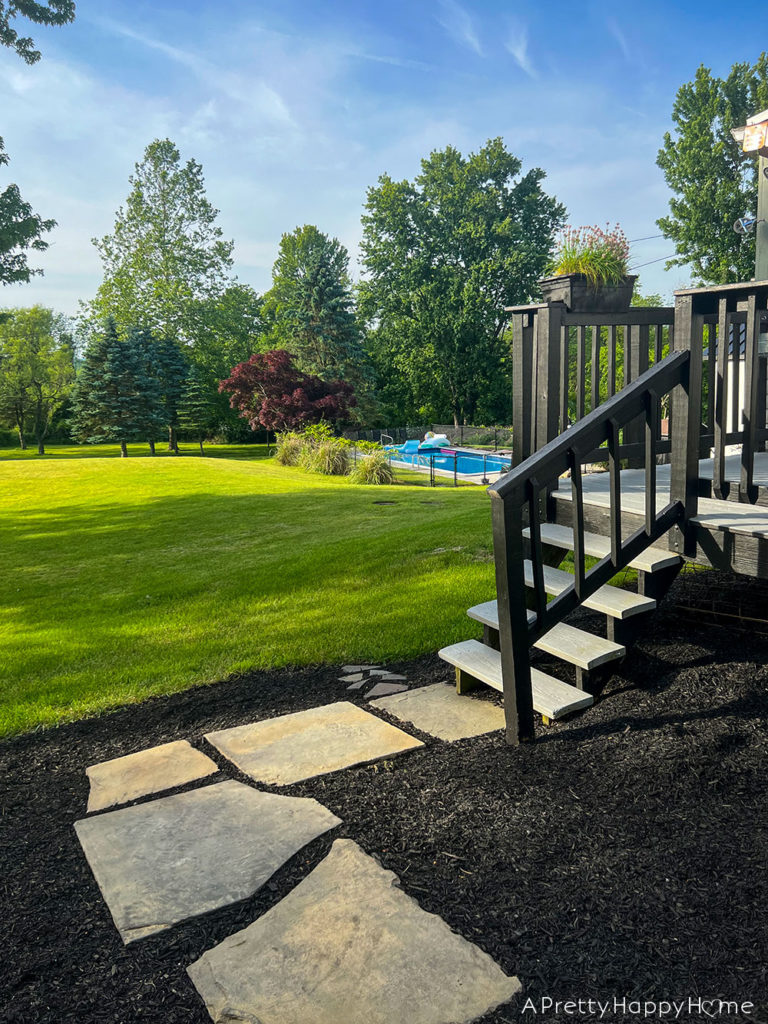 How Our NJ Landscaping Survived A Dry Summer without irrigation