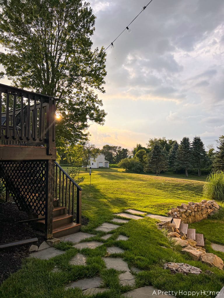 How Our NJ Landscaping Survived A Dry Summer without irrigation