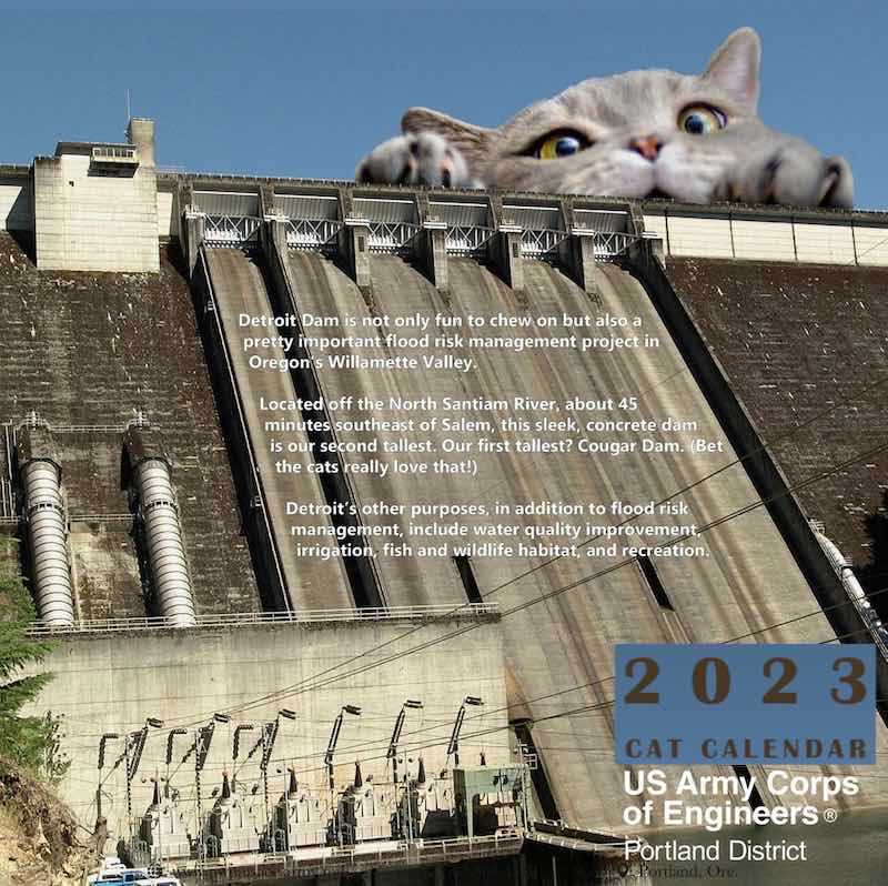 cat on dam 2023 calendar Portland district us army corps of engineers swns on the happy list