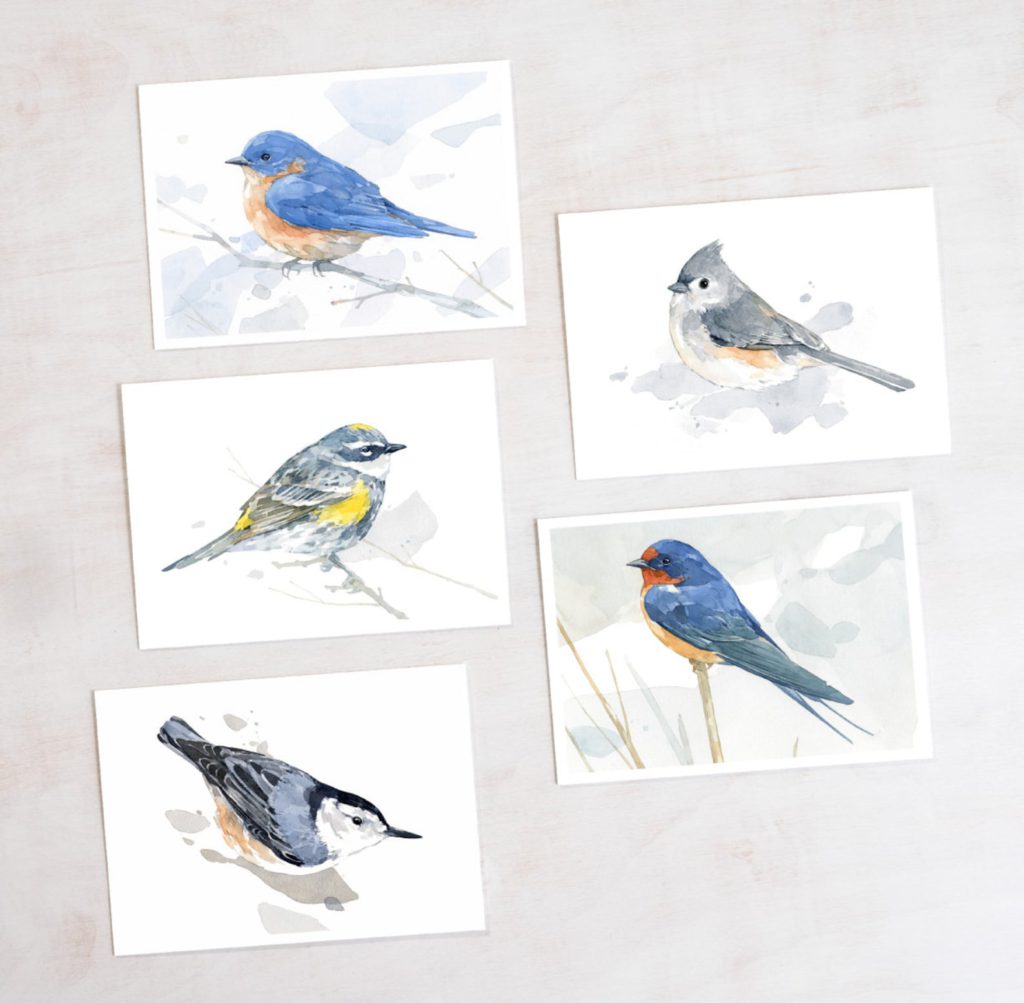 watercolor bird greeting cards via Studio Tuesday on etsy in praise of watercolor greeting cards