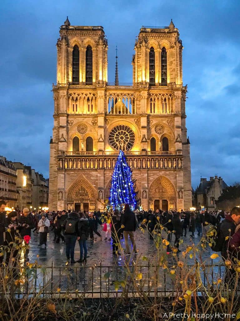 notre dame at christmas on the happy list