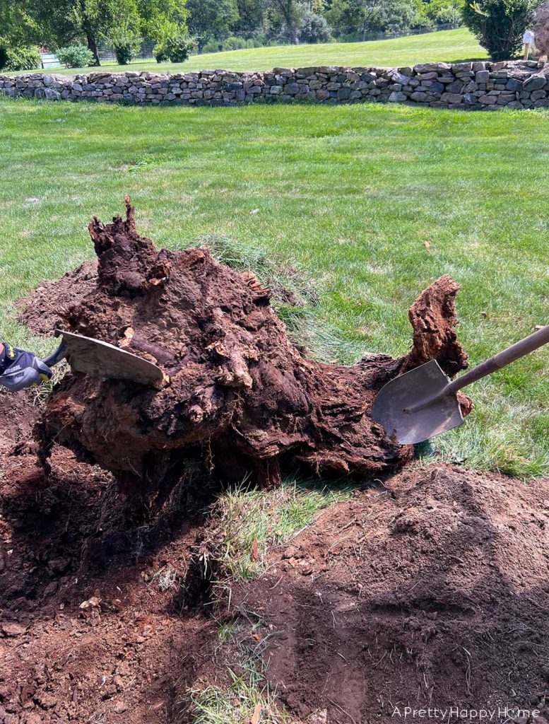 the age related reason we're removing stumps from our property to make it easy to age in place