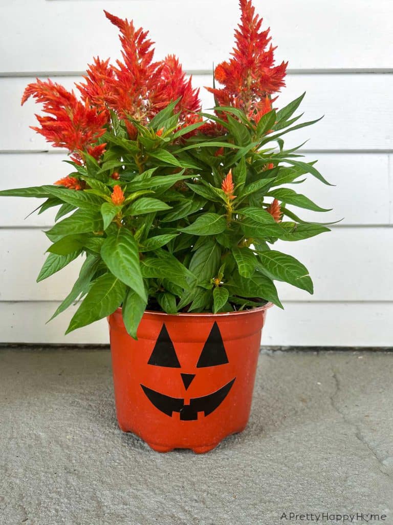 diy halloween decals with duct tape make jack o'lantern faces with black duct tape to decorate your planters