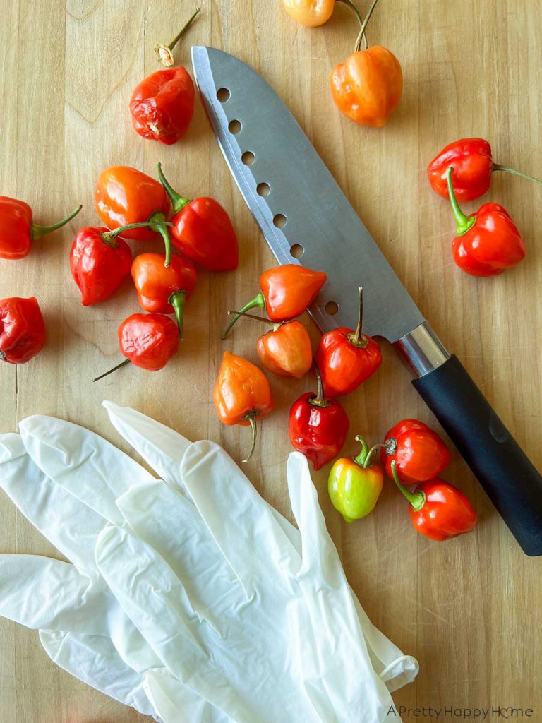 safety tips for making homemade hot sauce at home wear gloves picture of habaneros knife and gloves