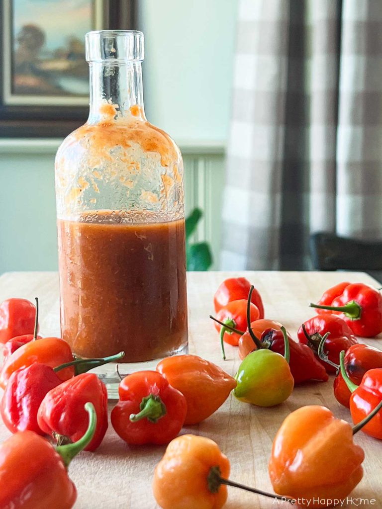 safety tips for making homemade hot sauce at home wear gloves picture of habaneros and homemade hot sauce