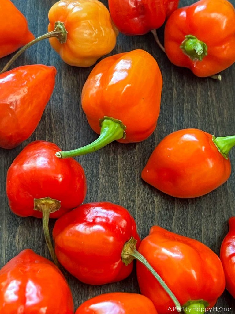 safety tips for making homemade hot sauce at home wear gloves picture of habaneros and wood background
