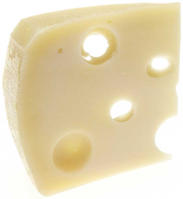 NCI swiss cheese public domain via wikipedia