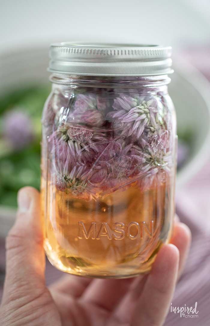 chive blossom vinegar recipe from inspired by charm on the happy list