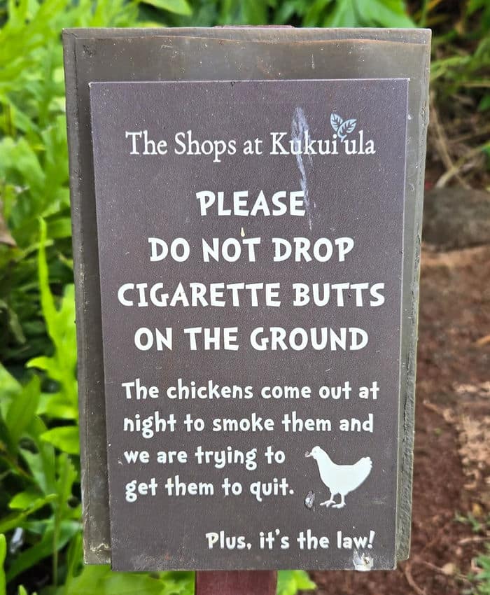 funny sign about chickens smoking from redditor u/epbrassil from the shops at kukui'ula via only good news daily on the happy list