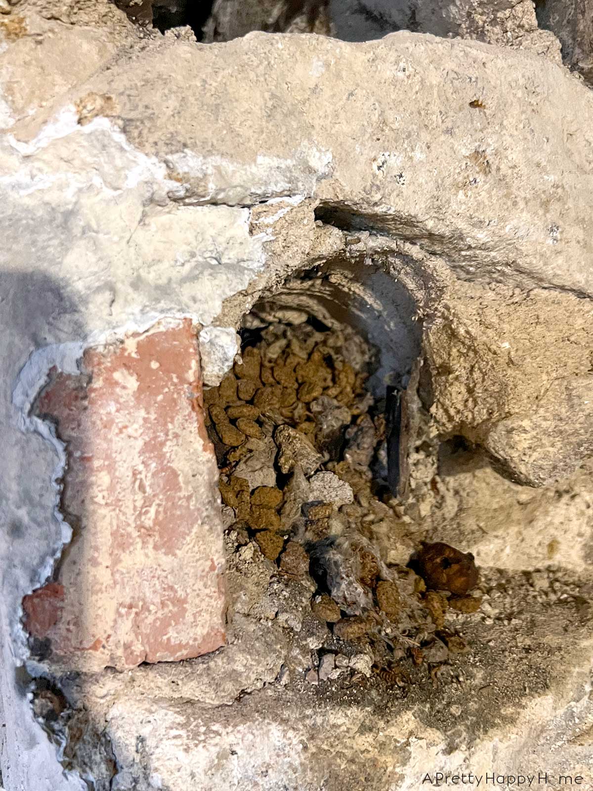 6 Things We Found Inside Our Stone Walls stone foundation being repointed inside a basement dog food